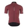 Dottore Pro Maglia Q36.5