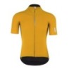 Dottore Pro Maglia Q36.5